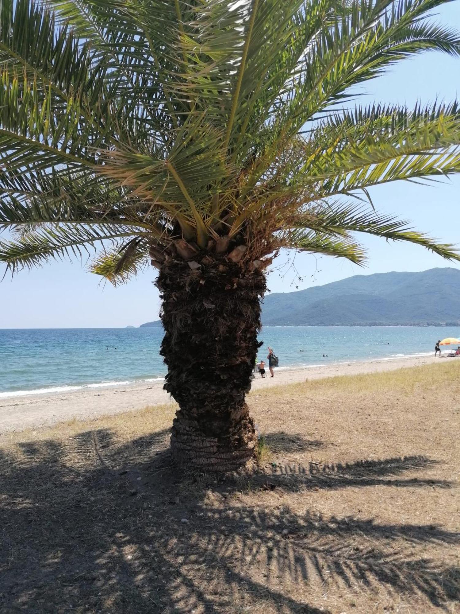 Prime Luxury Villa Beach Front Vrasná Exterior foto
